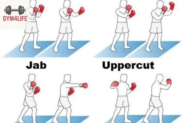 Lợi ích về sức khỏe thể chất và tinh thần