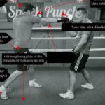 Luyện Tập Cơ Bản Boxing Như Thế Nào?