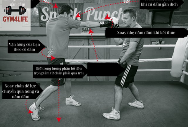 Luyện Tập Cơ Bản Boxing Như Thế Nào?