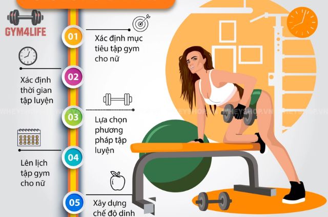 Các Bài Tập Gym Phù Hợp Cho Từng Giai Đoạn Độ Tuổi