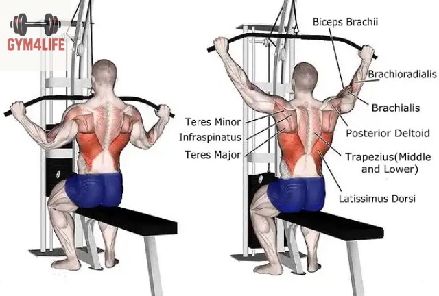 Những lỗi thường gặp cần tránh