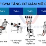 Giúp bạn tạo thói quen tập luyện đều đặn, tránh tình trạng tập luyện ngẫu hứng không hiệu quả