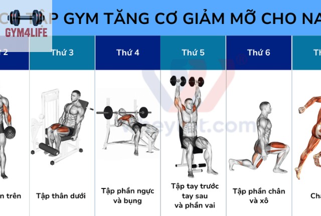 Giúp bạn tạo thói quen tập luyện đều đặn, tránh tình trạng tập luyện ngẫu hứng không hiệu quả