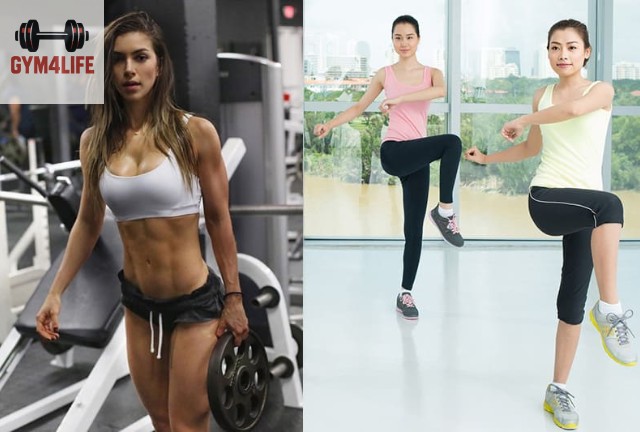 Định Nghĩa và Đặc Điểm Cơ Bản