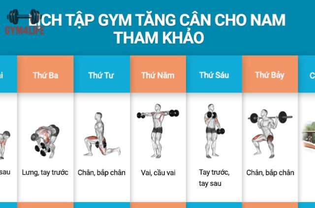 Bạn cần đảm bảo cung cấp đủ calo, protein, carbohydrate và chất béo lành mạnh