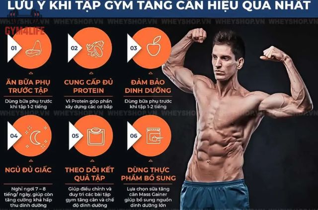 tập gym tăng cân cho nam tại nhà