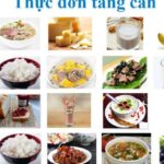 Gợi Ý Thực Đơn Tăng Cân Cho Nữ Trong 7 Ngày