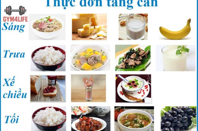 Gợi Ý Thực Đơn Tăng Cân Cho Nữ Trong 7 Ngày