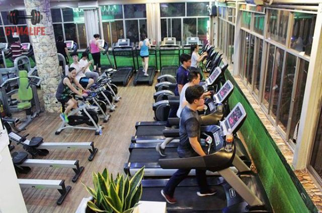 Những Lưu Ý Quan Trọng Khi Tập Yap Gym